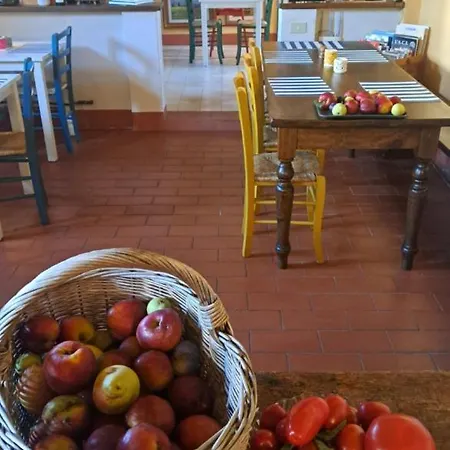 La Corte Di Stelio 比萨