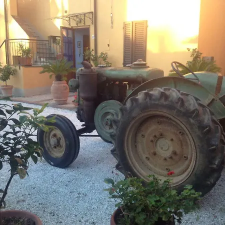 Bed & Breakfast La Corte Di Stelio *