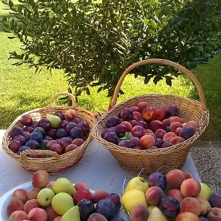 La Corte Di Stelio *