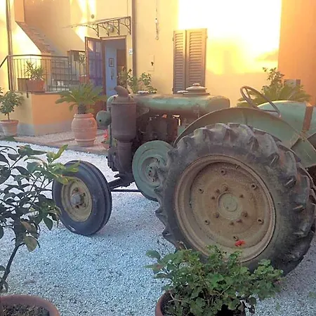 La Corte Di Stelio