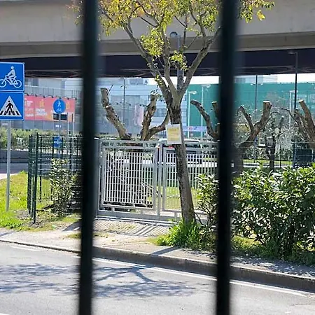 La Corte Di Stelio