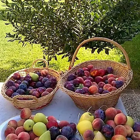 Frühstückspension La Corte Di Stelio Pisa