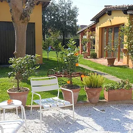 La Corte Di Stelio 3* 比萨