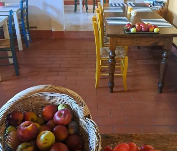 La Corte Di Stelio Pisa