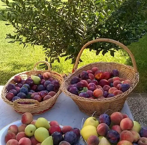 La Corte Di Stelio 3*